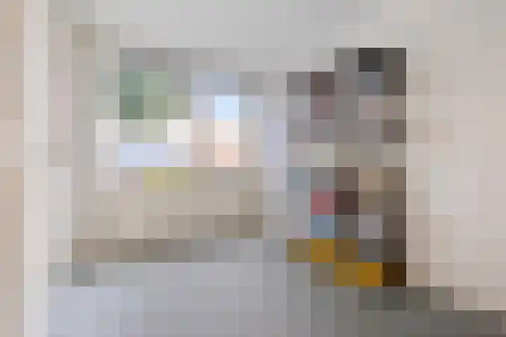 Buitenpepersdreef 160 's-Hertogenbosch thumbnail 40