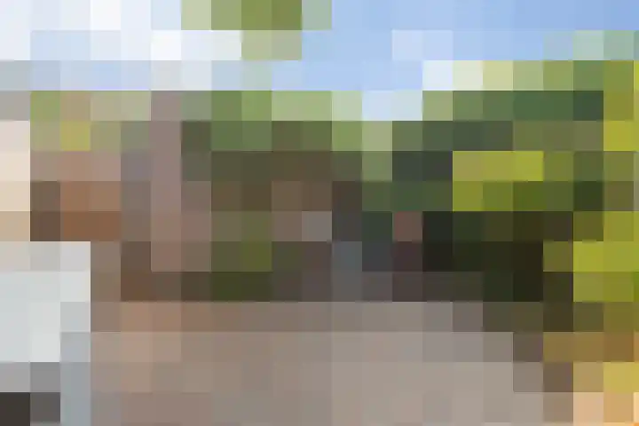 Buitenpepersdreef 160 's-Hertogenbosch thumbnail 45