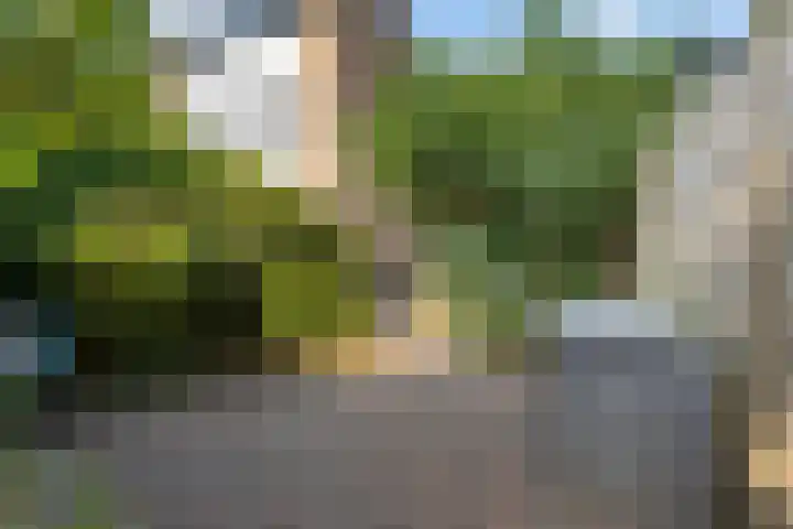 Buitenpepersdreef 160 's-Hertogenbosch thumbnail 46