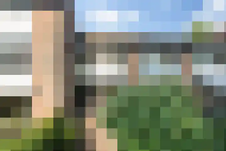 Buitenpepersdreef 160 's-Hertogenbosch thumbnail 50
