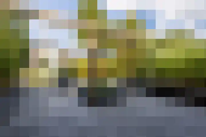 Buitenpepersdreef 160 's-Hertogenbosch thumbnail 52