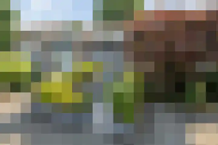 Buitenpepersdreef 160 's-Hertogenbosch thumbnail 54
