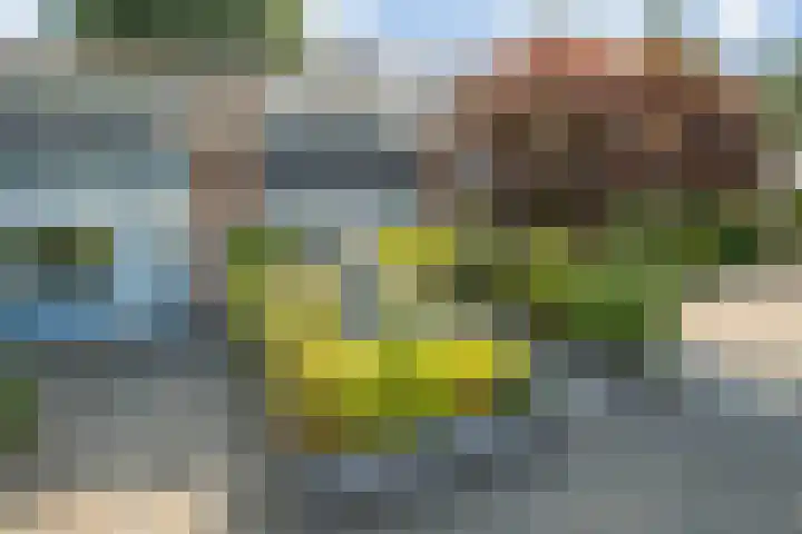 Buitenpepersdreef 160 's-Hertogenbosch thumbnail 55