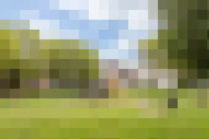 Buitenpepersdreef 160 's-Hertogenbosch thumbnail 56
