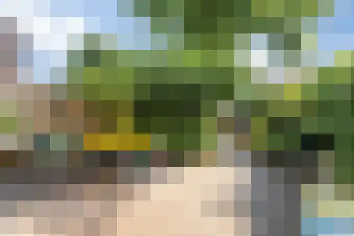 Buitenpepersdreef 160 's-Hertogenbosch thumbnail 7