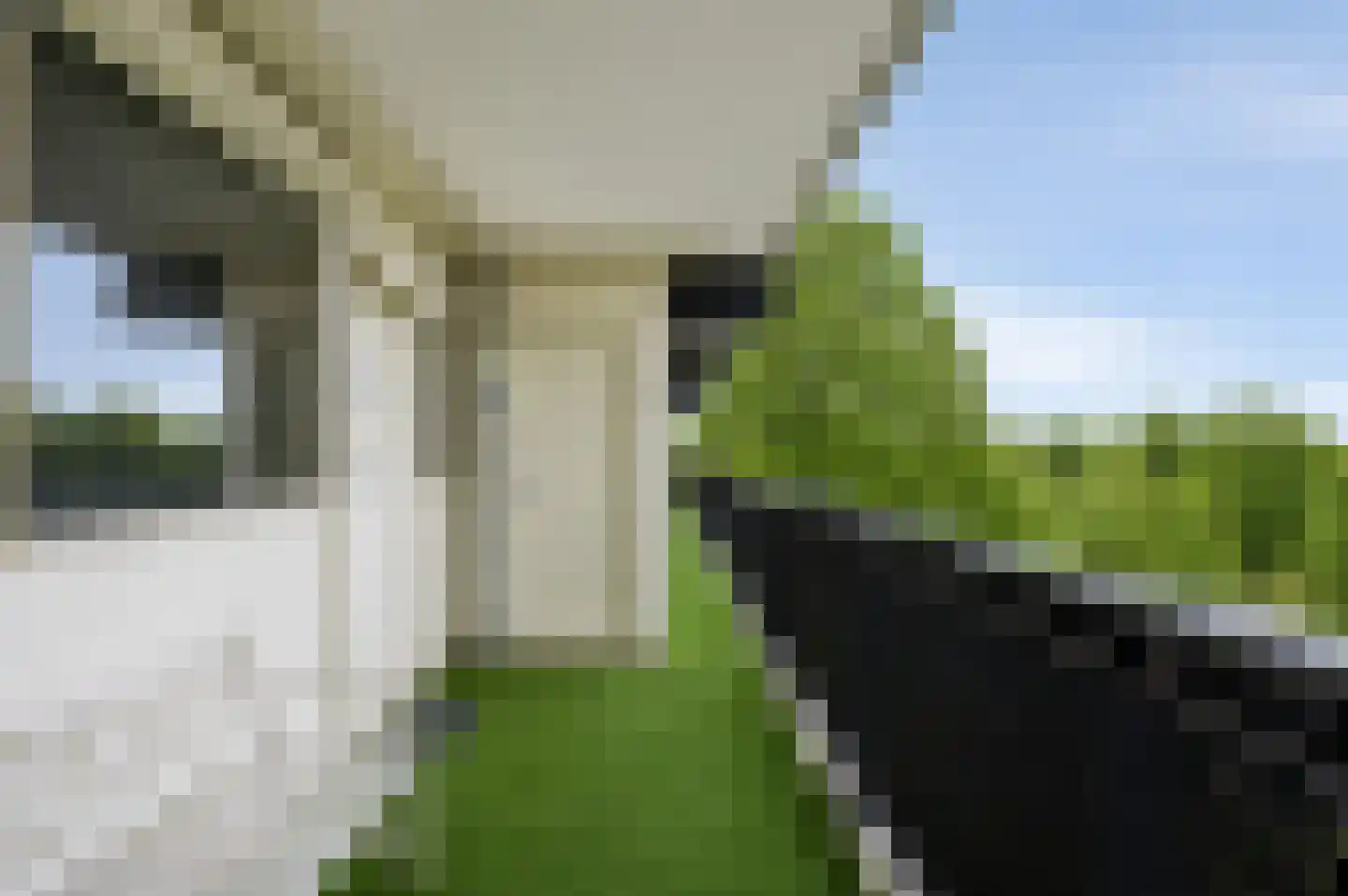 Buitenpepersdreef 161 's-Hertogenbosch thumbnail 30