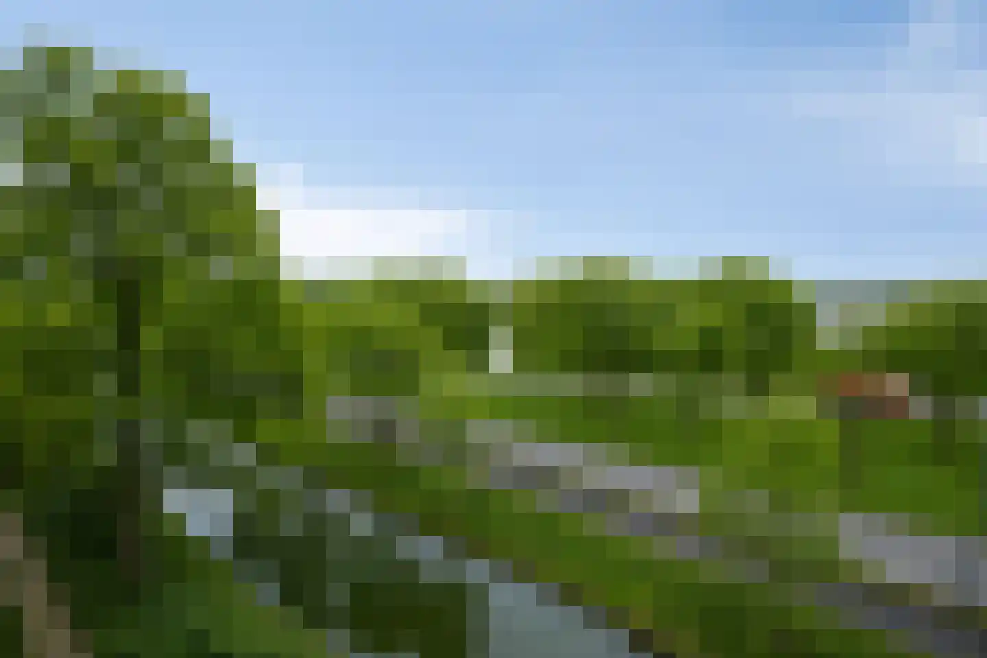 Buitenpepersdreef 161 's-Hertogenbosch thumbnail 32