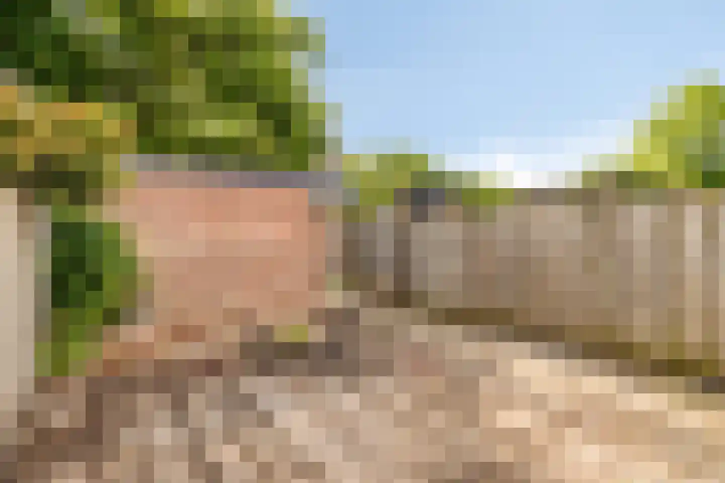 Buitenpepersdreef 198 's-Hertogenbosch thumbnail 15