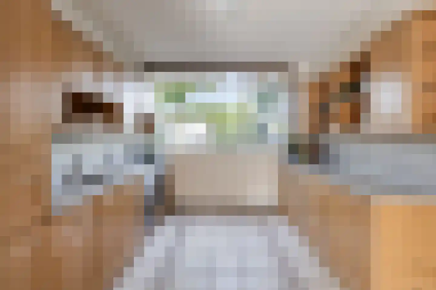 Buitenpepersdreef 198 's-Hertogenbosch thumbnail 6