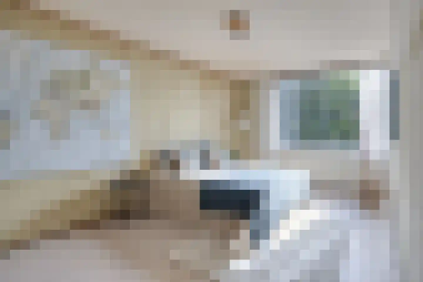 Buitenpepersdreef 198 's-Hertogenbosch thumbnail 8