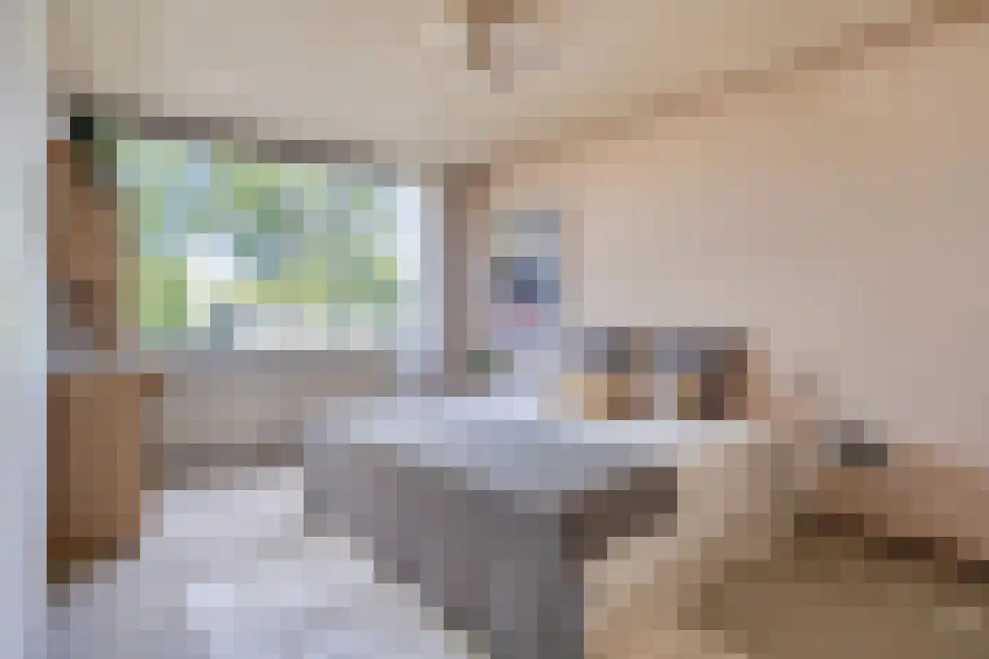 Buitenpepersdreef 198 's-Hertogenbosch thumbnail 9