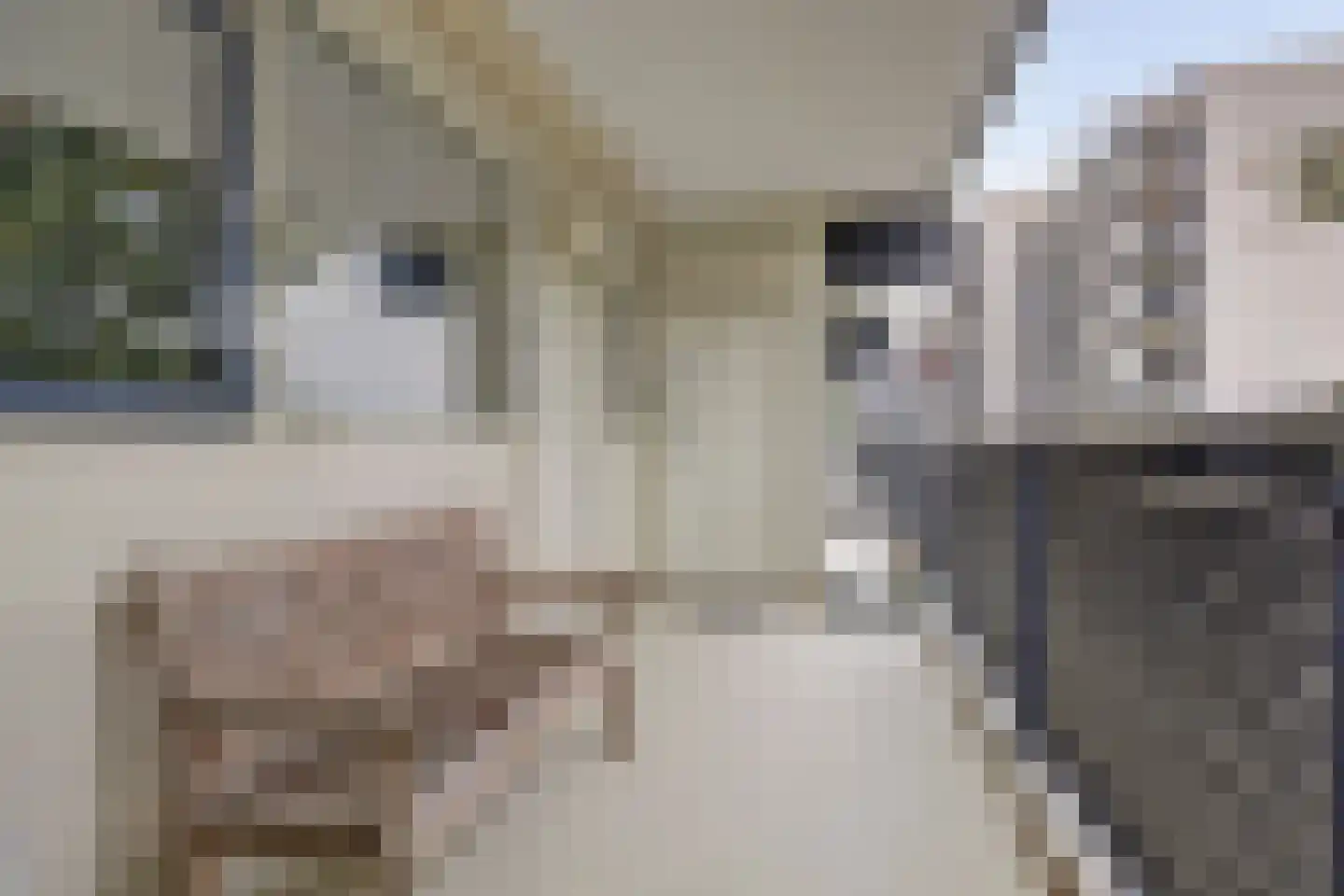 Buitenpepersdreef 235 's-Hertogenbosch thumbnail 24