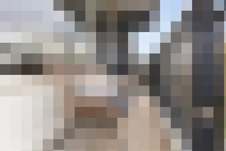 Buitenpepersdreef 251 's-Hertogenbosch thumbnail 10