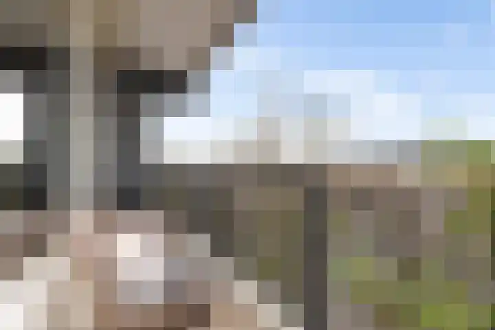 Buitenpepersdreef 251 's-Hertogenbosch thumbnail 11