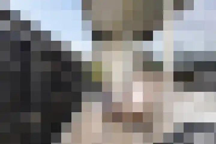 Buitenpepersdreef 251 's-Hertogenbosch thumbnail 12