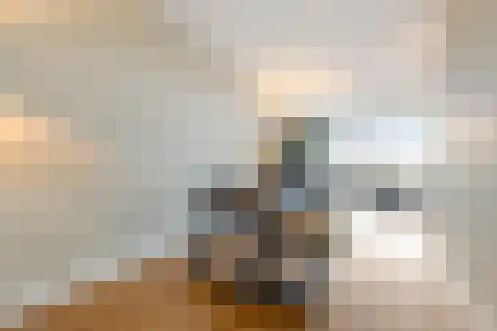 Buitenpepersdreef 251 's-Hertogenbosch thumbnail 13