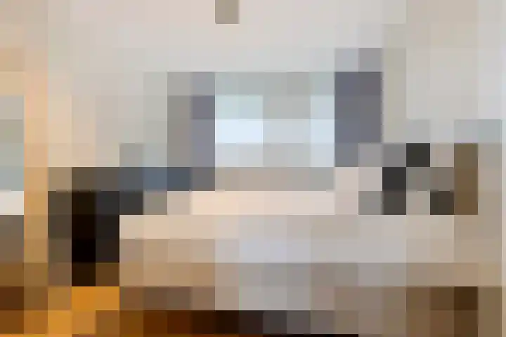 Buitenpepersdreef 251 's-Hertogenbosch thumbnail 20