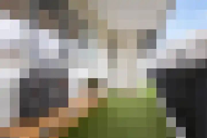Buitenpepersdreef 251 's-Hertogenbosch thumbnail 24