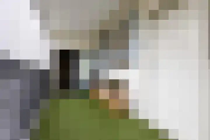 Buitenpepersdreef 251 's-Hertogenbosch thumbnail 25