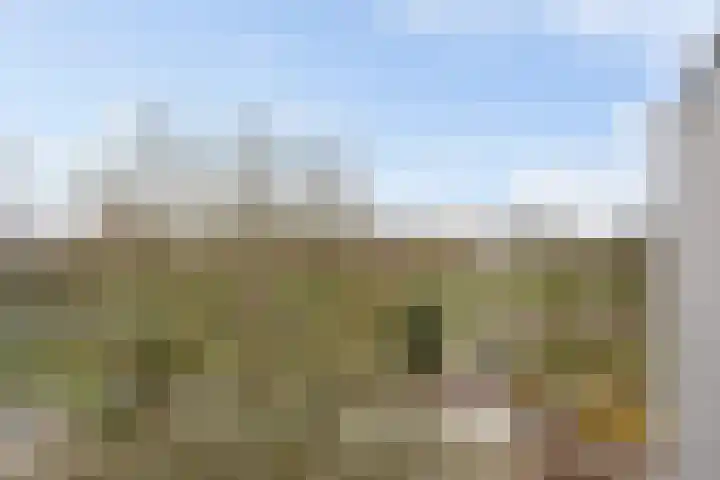 Buitenpepersdreef 251 's-Hertogenbosch thumbnail 29