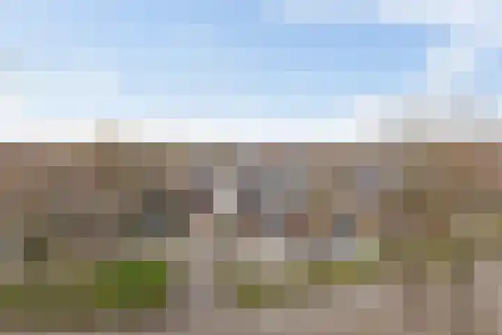 Buitenpepersdreef 251 's-Hertogenbosch thumbnail 30