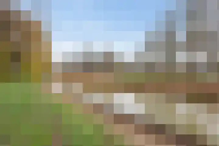 Buitenpepersdreef 251 's-Hertogenbosch thumbnail 31