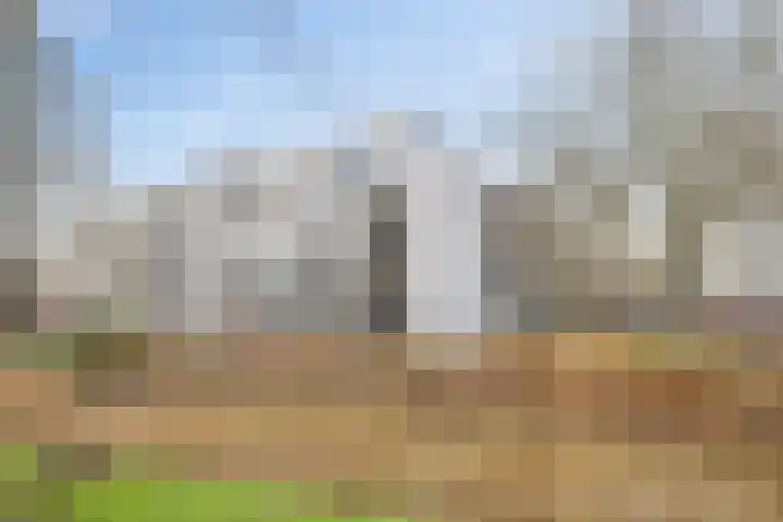 Buitenpepersdreef 251 's-Hertogenbosch thumbnail 33
