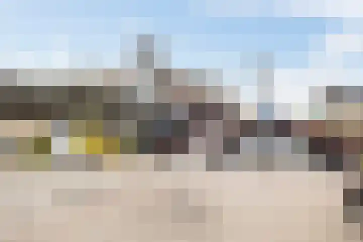 Buitenpepersdreef 251 's-Hertogenbosch thumbnail 34