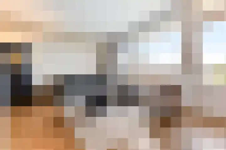 Buitenpepersdreef 251 's-Hertogenbosch thumbnail 5