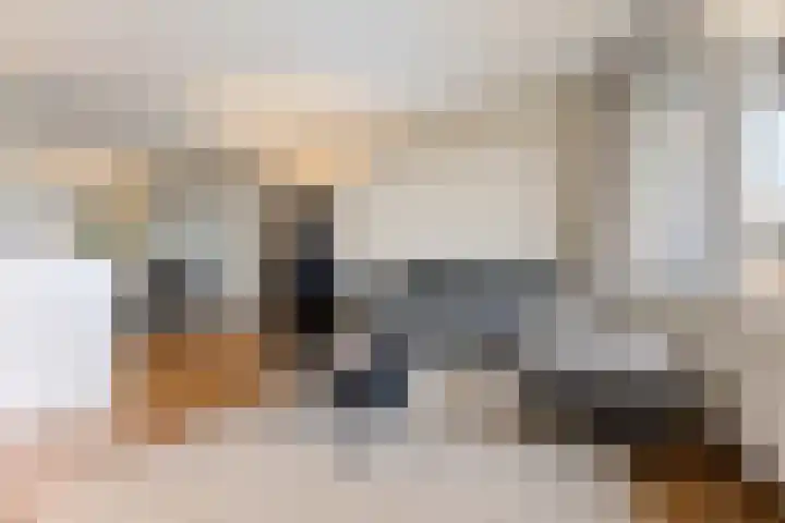 Buitenpepersdreef 251 's-Hertogenbosch thumbnail 6