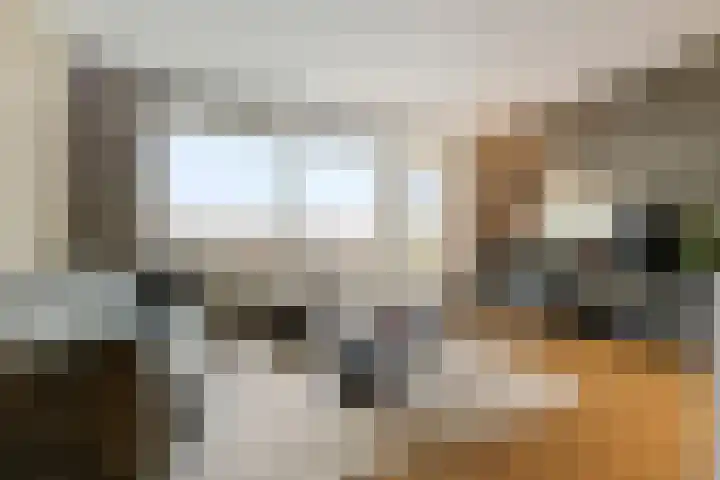 Buitenpepersdreef 251 's-Hertogenbosch thumbnail 8