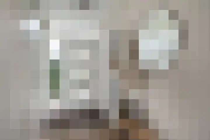 Buitenpepersdreef 313 's-Hertogenbosch thumbnail 14