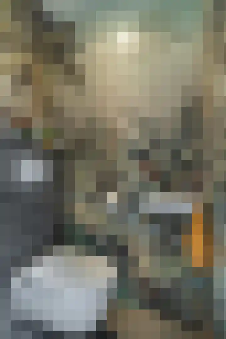 Buitenpepersdreef 313 's-Hertogenbosch thumbnail 15