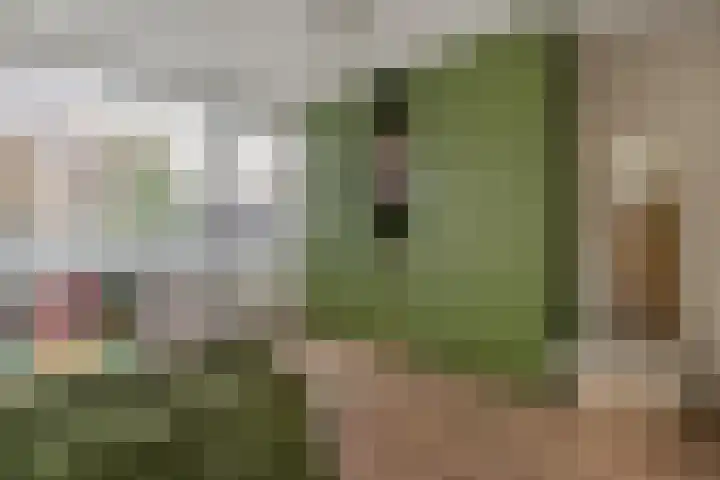 Buitenpepersdreef 313 's-Hertogenbosch thumbnail 18