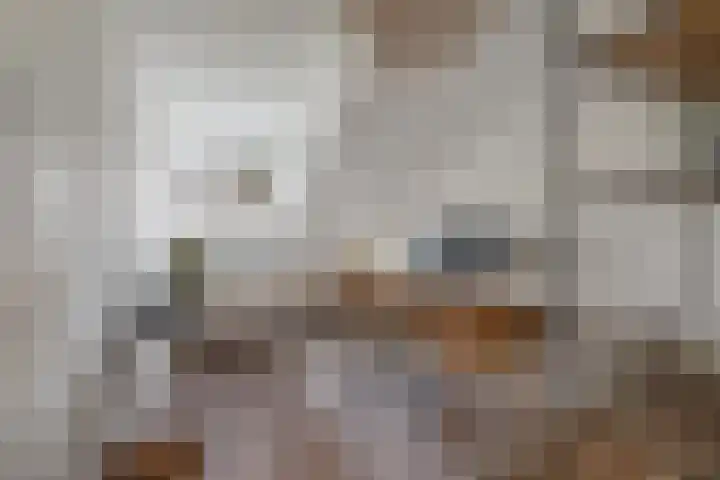 Buitenpepersdreef 313 's-Hertogenbosch thumbnail 20