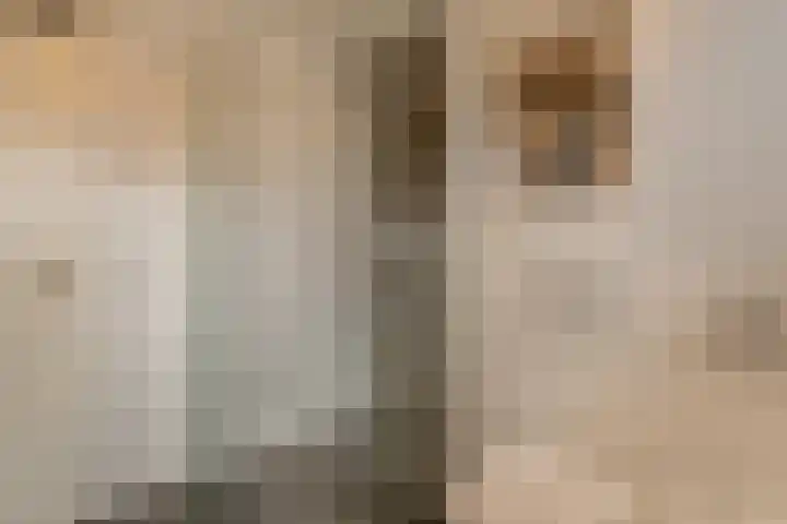 Buitenpepersdreef 313 's-Hertogenbosch thumbnail 22