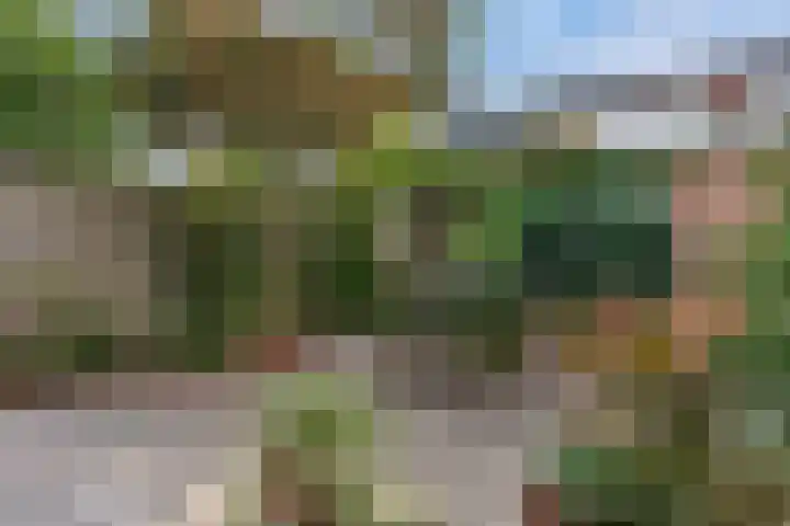 Buitenpepersdreef 313 's-Hertogenbosch thumbnail 24