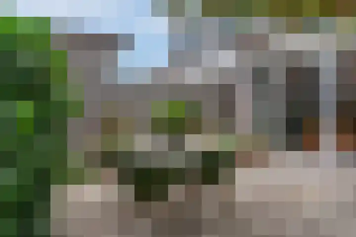 Buitenpepersdreef 313 's-Hertogenbosch thumbnail 25