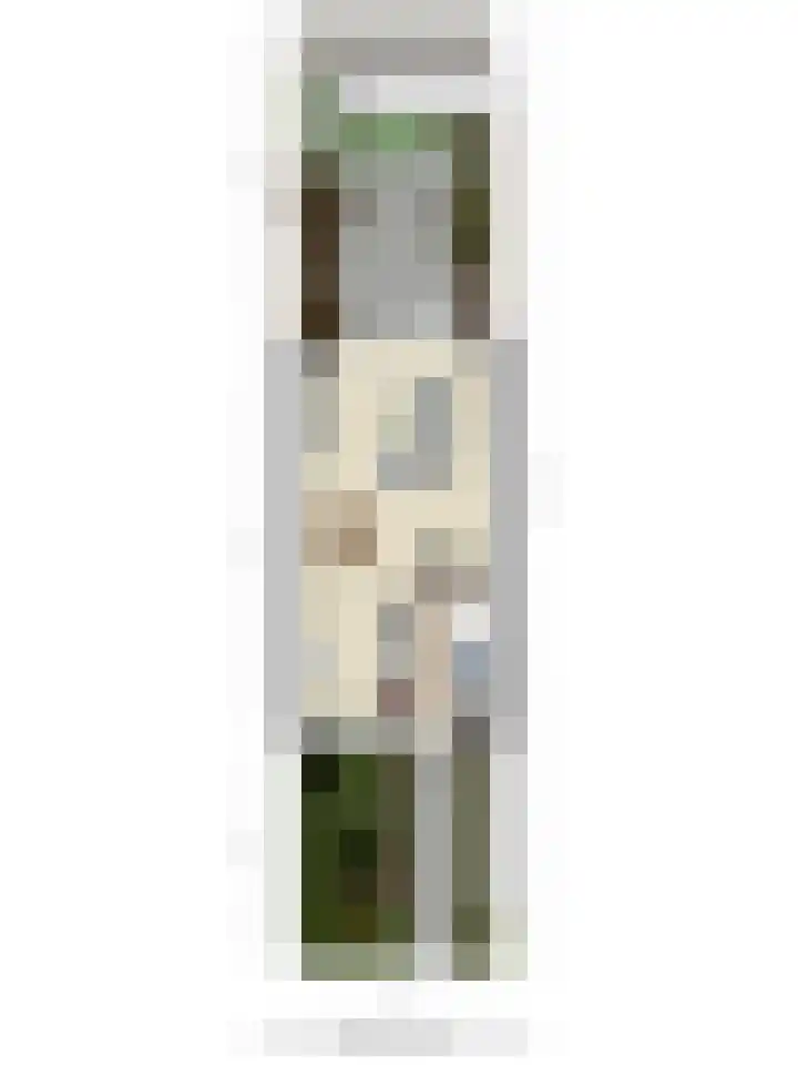 Buitenpepersdreef 313 's-Hertogenbosch thumbnail 33