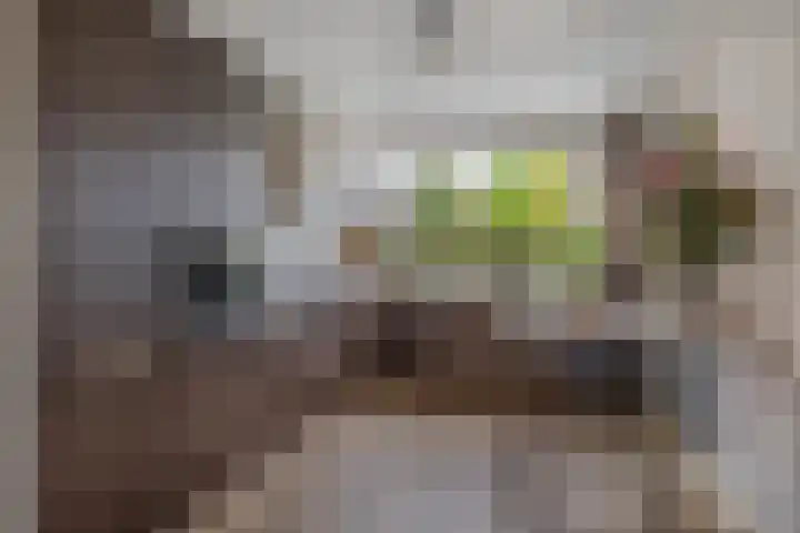 Buitenpepersdreef 313 's-Hertogenbosch thumbnail 6