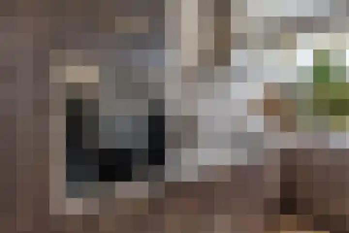 Buitenpepersdreef 313 's-Hertogenbosch thumbnail 7