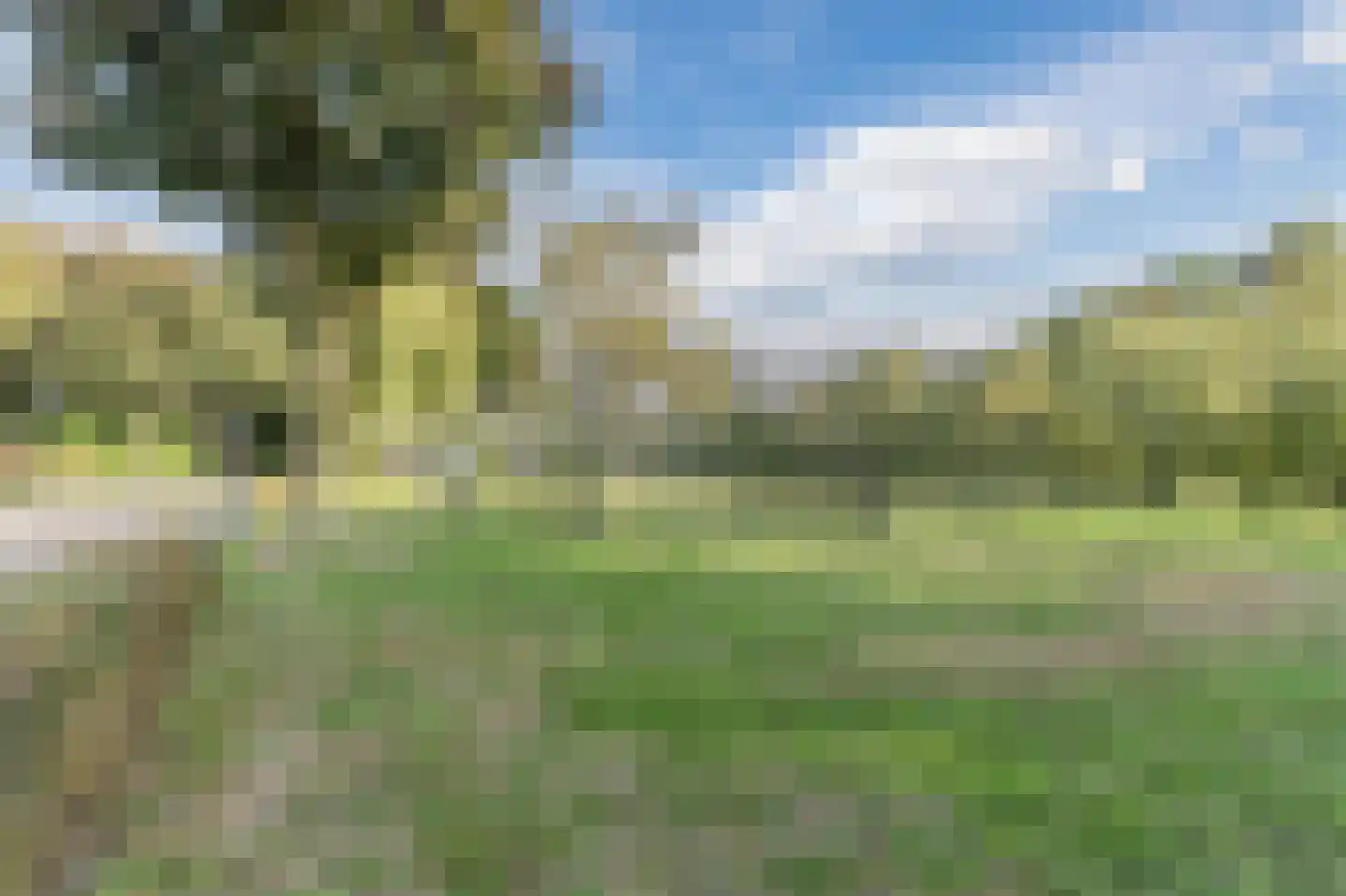 Buitenpepersdreef 42 's-Hertogenbosch thumbnail 32
