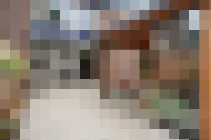 Buitenpepersdreef 62 's-Hertogenbosch thumbnail 16