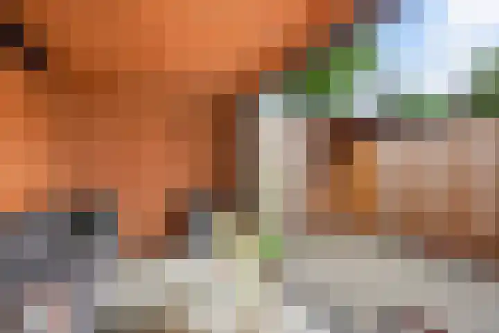 Buitenpepersdreef 62 's-Hertogenbosch thumbnail 18