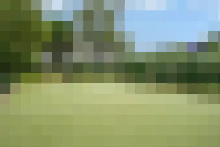 Buitenpepersdreef 62 's-Hertogenbosch thumbnail 43