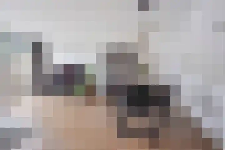 Buitenpepersdreef 62 's-Hertogenbosch thumbnail 9