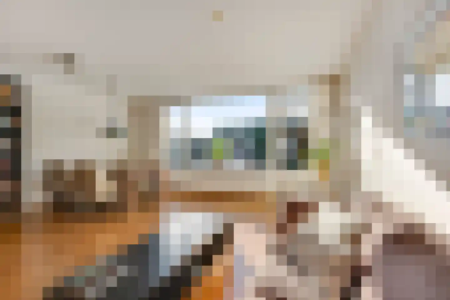 Buitenpepersdreef 70 's-Hertogenbosch thumbnail 6