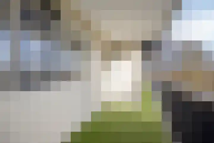 Buitenpepersdreef 71 's-Hertogenbosch thumbnail 12
