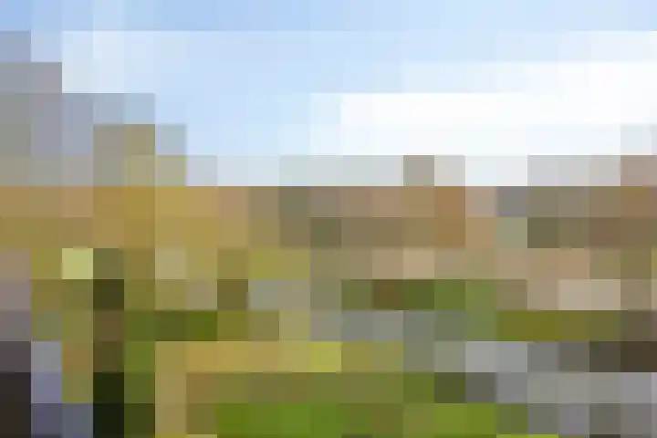 Buitenpepersdreef 71 's-Hertogenbosch thumbnail 13