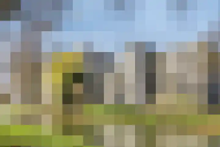 Buitenpepersdreef 71 's-Hertogenbosch thumbnail 14